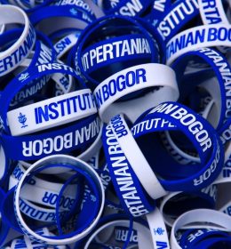 Gelang karet Jakarta